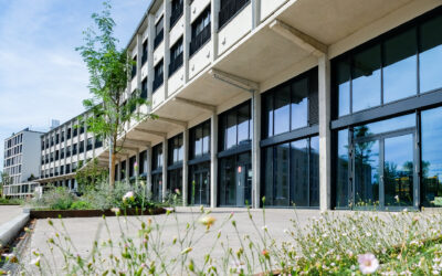Weitere Gewerbeflächen bezogen – Erdgeschosse im Quartier Am Papierbach füllen sich mit Leben