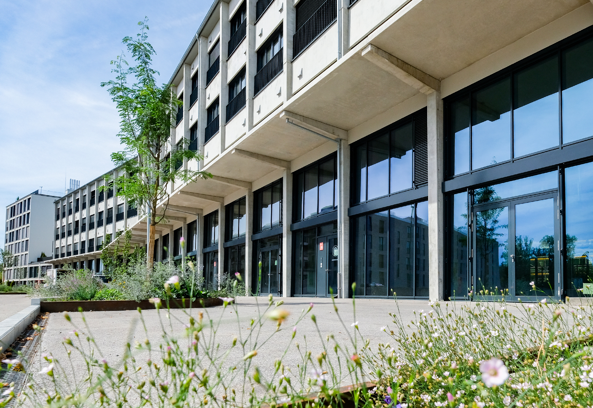 Foto eines Gebäudes mit großer Glasfront, beton Vordach und Blumenbeet im Vordergrund