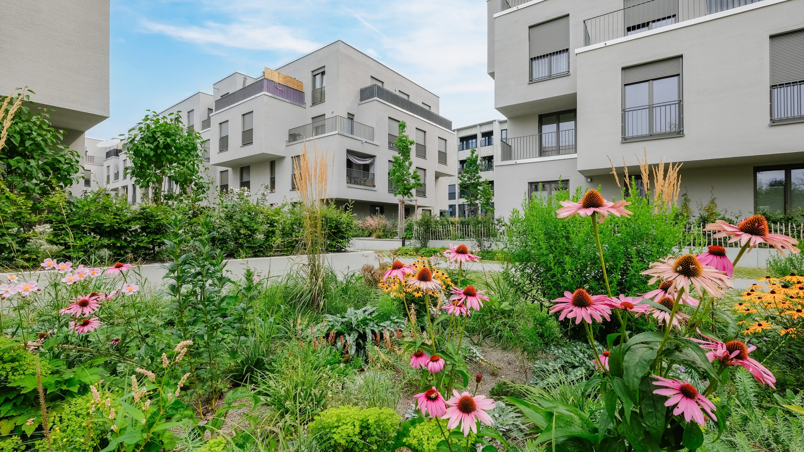 Foto vom Neubau Am Papierbogen mit versprungener Fassade, und Blumenbeet im Vordergrund.